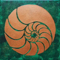 Phi Ratio – Golden Mean