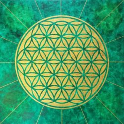 Nature Law Permeating