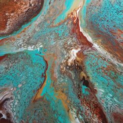 Pheasants in the Backyard